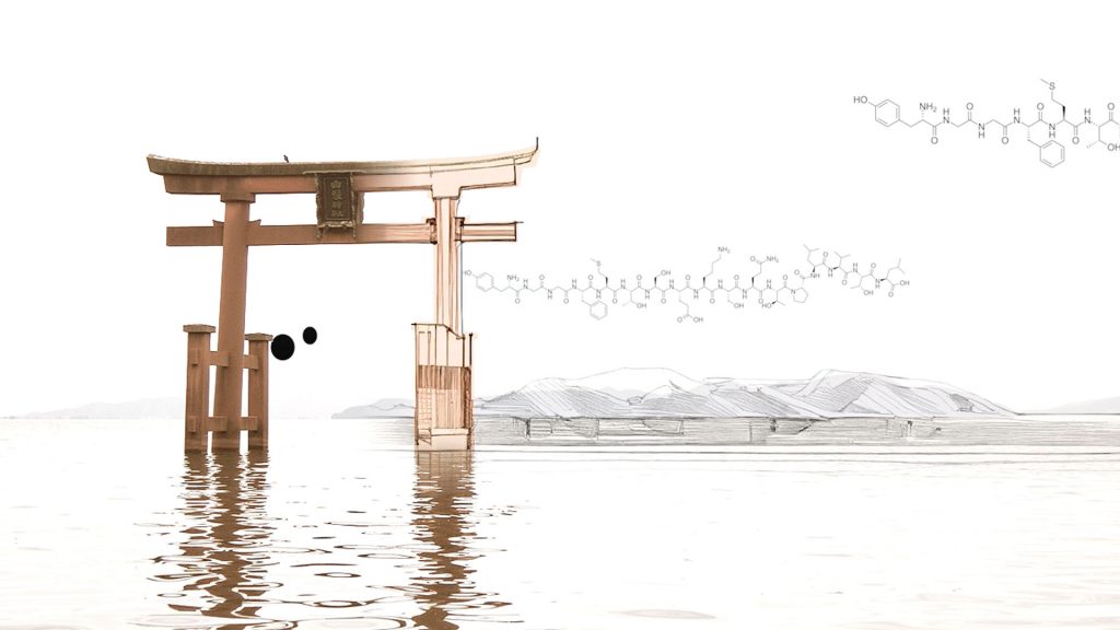 A still from the film Torii. A Chinese gate floats in a digital spare landscape.